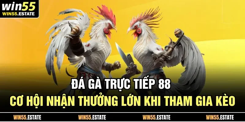 phân tích cụ thể về sân chơi đá gà trực tiếp 88