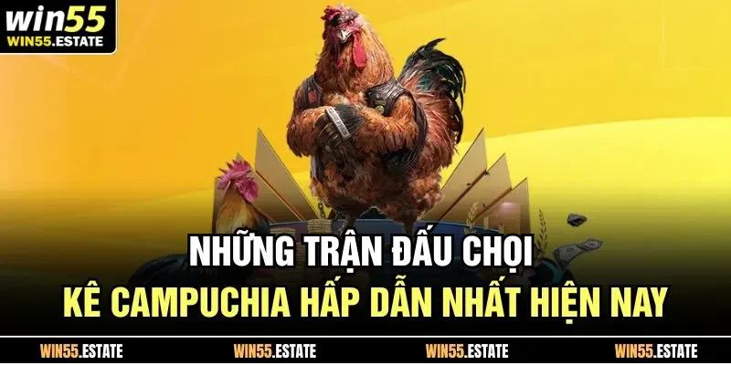 Những trận đấu chọi kê Campuchia hấp dẫn nhất hiện nay