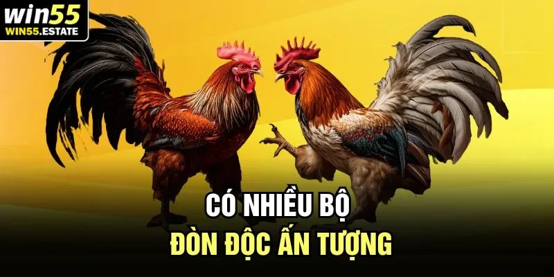 Có nhiều bộ đòn độc ấn tượng